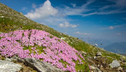 Sattelkopf | © © Serfaus-Fiss-Ladis Marketing GmbH