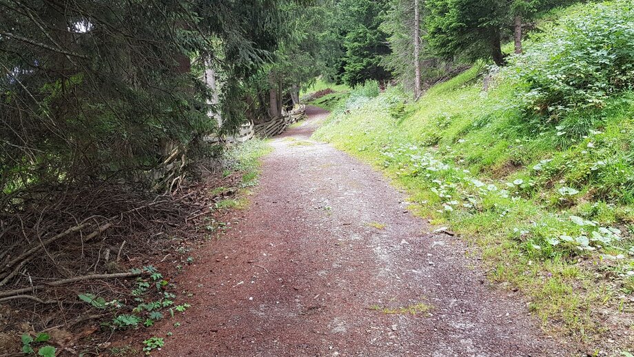 Waldweg auf der Akklimatisierungstour | © © Serfaus-Fiss-Ladis Marketing GmbH