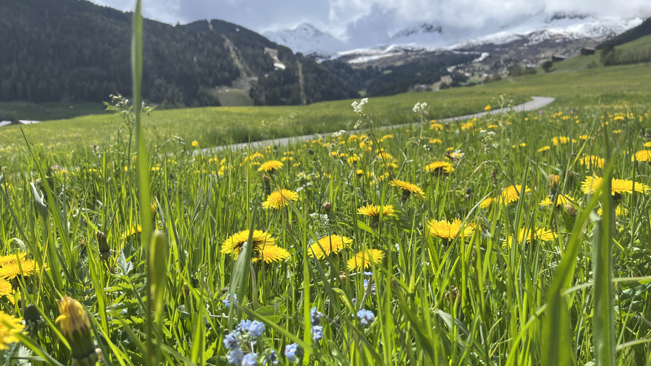 Bifangrunde in Serfaus | © © Serfaus-Fiss-Ladis Marketing GmbH