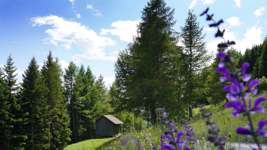 Bike Everest Tirol Tour durch die Landschaft | © © Serfaus-Fiss-Ladis Marketing GmbH