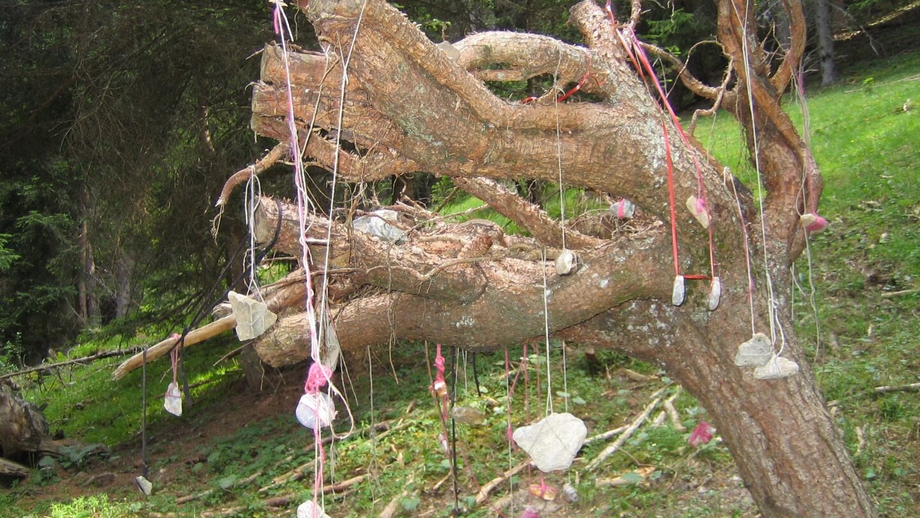 Der Verwunschene Weg | © © Serfaus-Fiss-Ladis Marketing GmbH