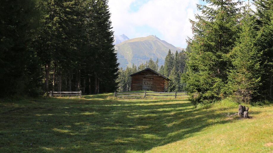 Familien-Erlebnisweg durch den Wald | © © Serfaus-Fiss-Ladis Marketing GmbH