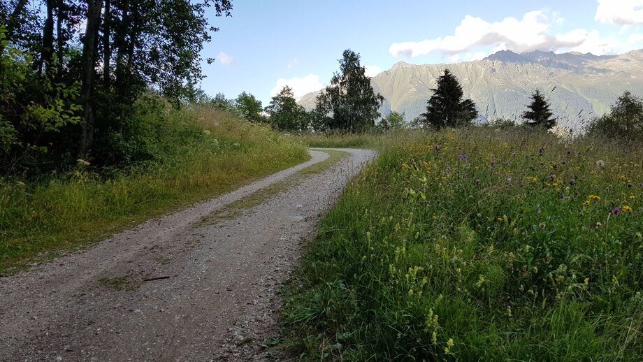 Familientour Schönegg | © © Serfaus-Fiss-Ladis Marketing GmbH