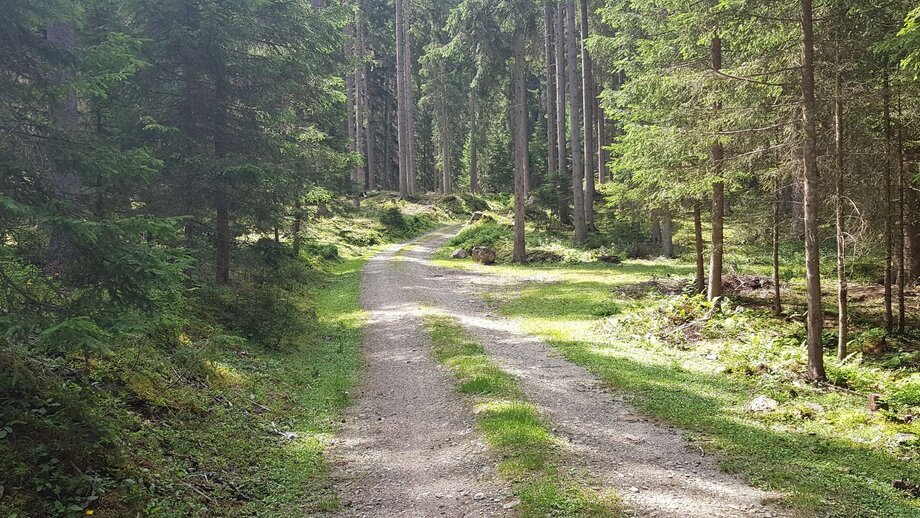 Hochgallmigg Enduro Tour 758 | © © Serfaus-Fiss-Ladis Marketing GmbH