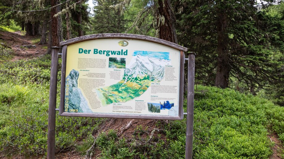 Themenweg Fisser Gonde | © © Serfaus-Fiss-Ladis Marketing GmbH