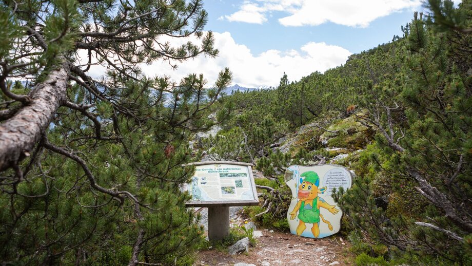 Naturdenkmal Fisser Gonde | © © Serfaus-Fiss-Ladis Marketing GmbH