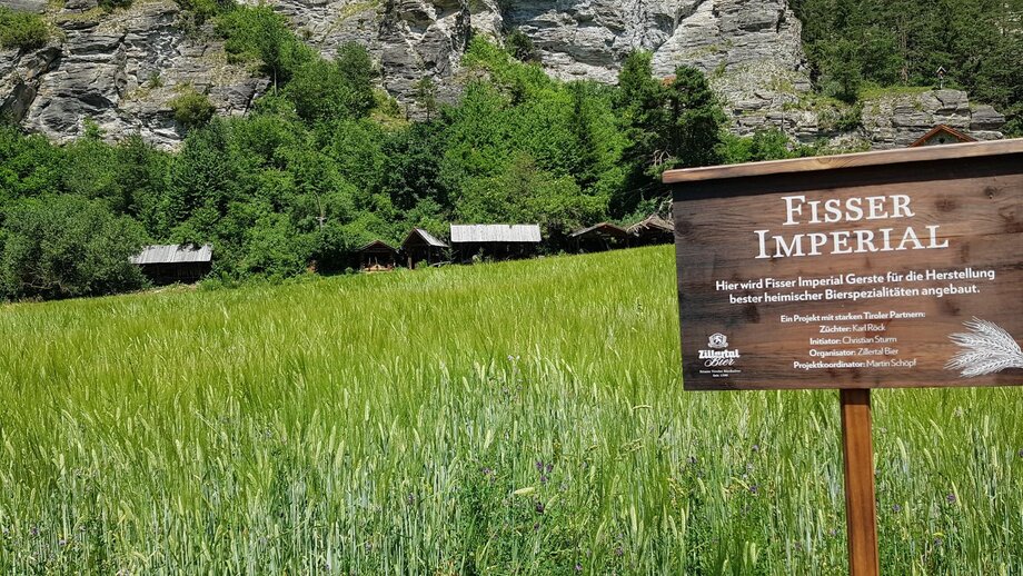 Fisser Imperial Gerste | © © Serfaus-Fiss-Ladis Marketing GmbH
