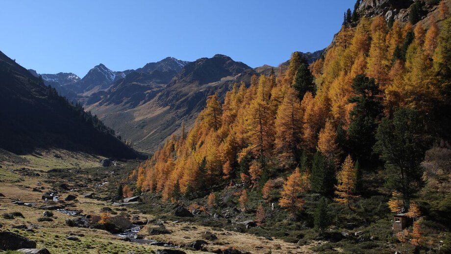 52445241.jpg | © © Serfaus-Fiss-Ladis Marketing GmbH