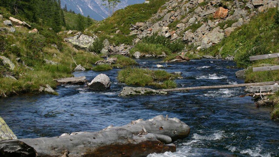 42653620.jpg | © © Serfaus-Fiss-Ladis Marketing GmbH