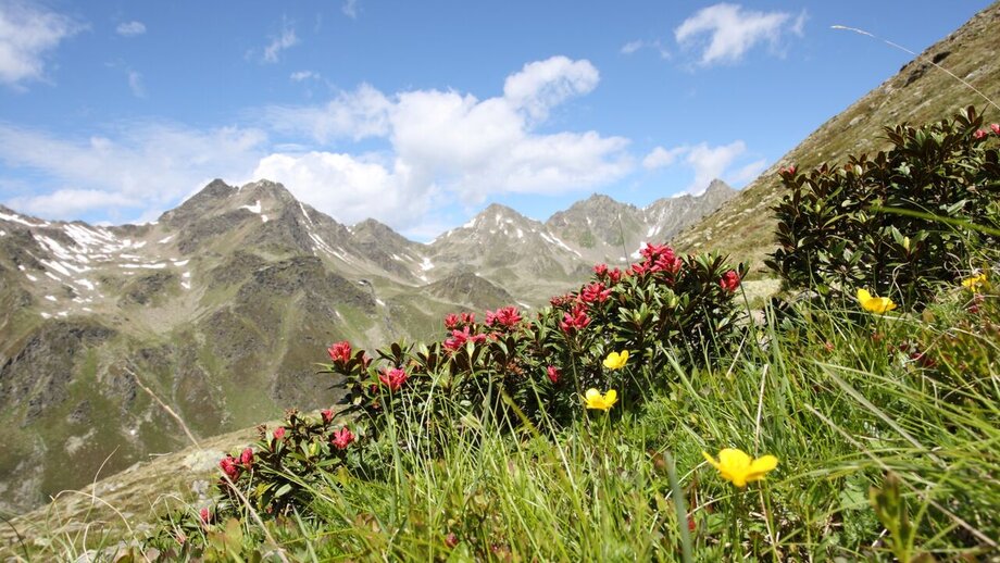 9039304.jpg | © © Serfaus-Fiss-Ladis Marketing GmbH