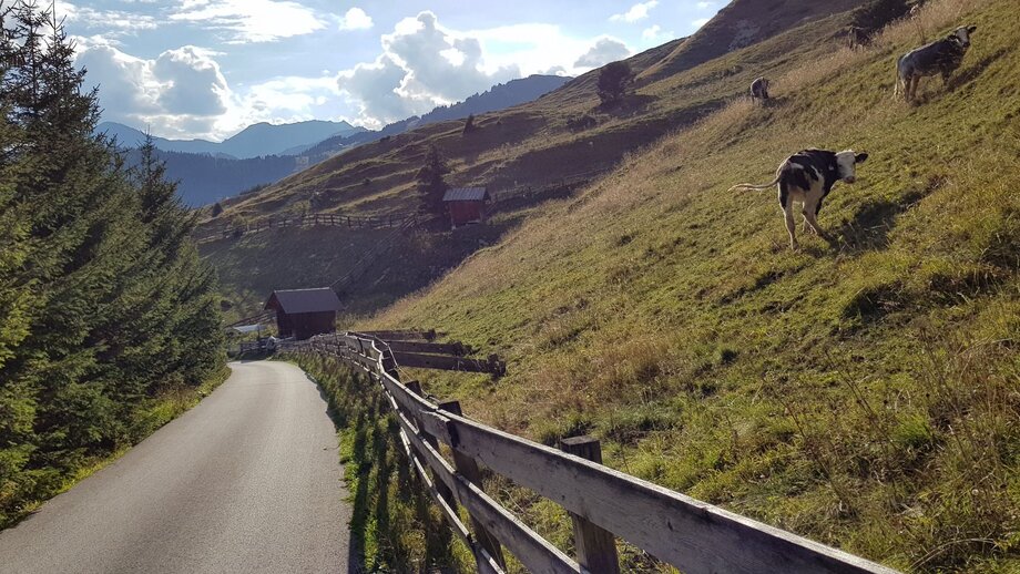 Biketour zur im Urgtal gelegene Schöngampalm | © © Serfaus-Fiss-Ladis Marketing GmbH