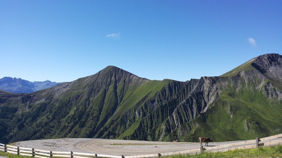 20160813_101256.jpg | © © Serfaus-Fiss-Ladis Marketing GmbH