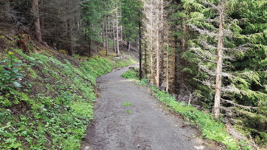 SFL Extrem Enduro Tour durch den Wald | © © Serfaus-Fiss-Ladis Marketing GmbH