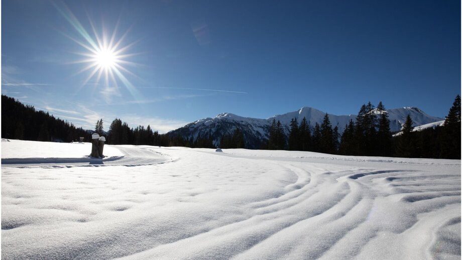 Waldloipe L5.jpg | © © Serfaus-Fiss-Ladis Marketing GmbH