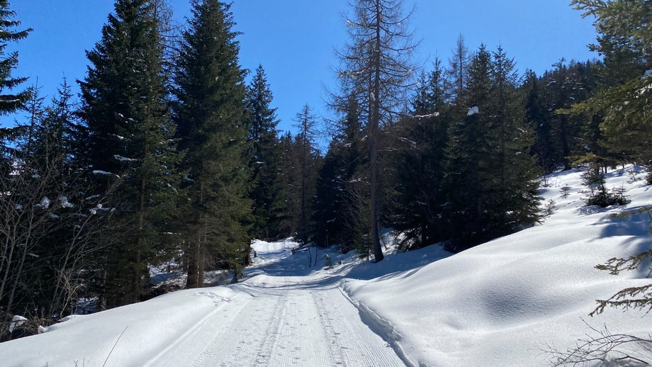 Waldweg nach Serfaus | © © Serfaus-Fiss-Ladis Marketing GmbH