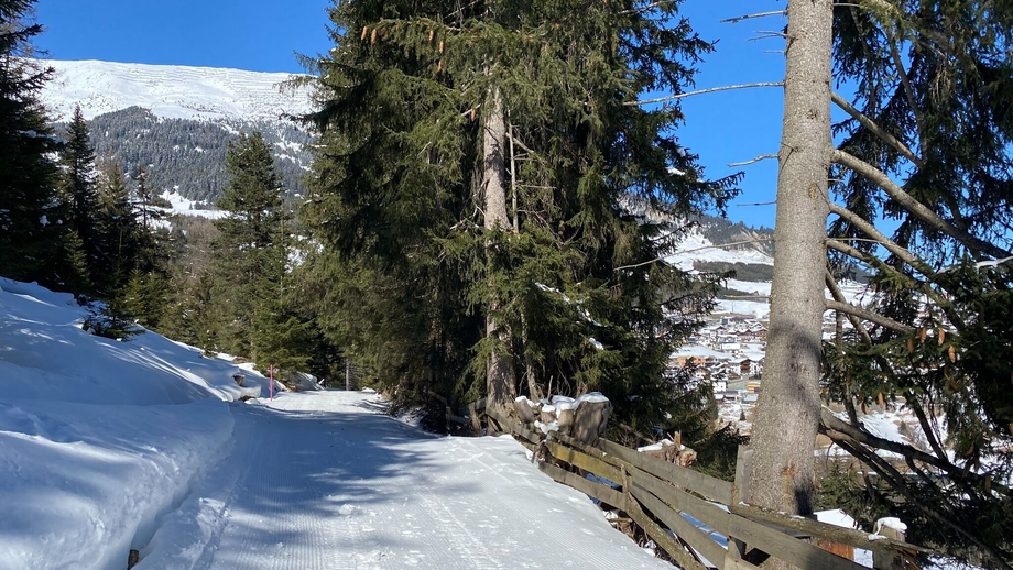Waldweg nach Serfaus | © © Serfaus-Fiss-Ladis Marketing GmbH