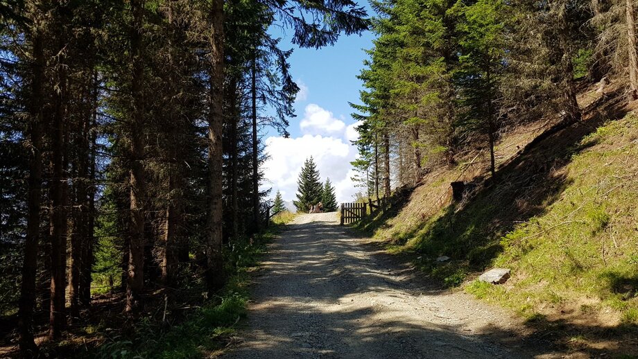 Windles Wiesen Tour mit dem Bike | © © Serfaus-Fiss-Ladis Marketing GmbH