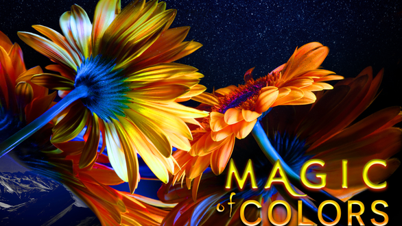 Magic of Colors