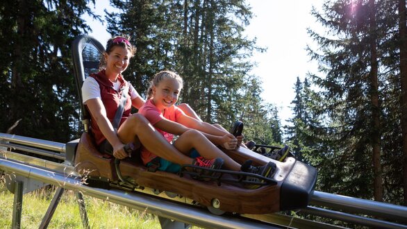 Familien-Coaster-Schneisenfeger