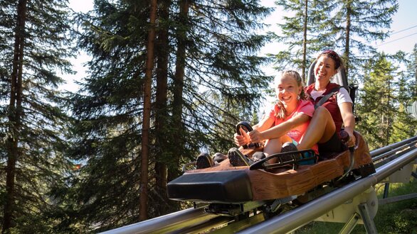 Familien-Coaster-Schneisenfeger