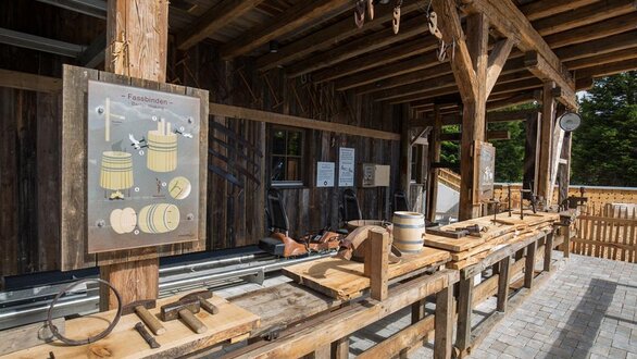 Start Familien-Coaster-Schneisenfeger