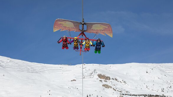 Fisser Flieger in Winter
